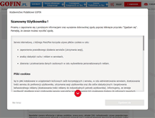 Tablet Screenshot of newsletter.gofin.pl